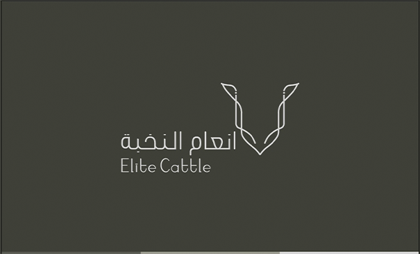 مؤسسة انعام النخبة